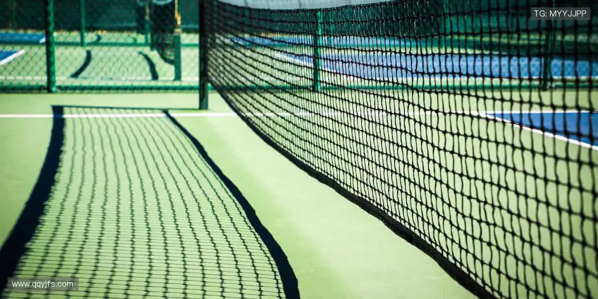 🎉 弹幕、解说、回放，直播乐趣不止于观看！